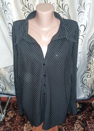Стильна блуза в смужку на пишні форми etam