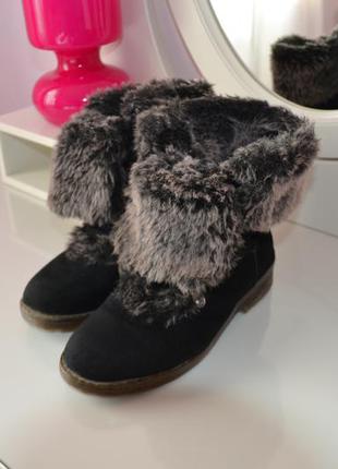 Зимові черевики taccardi
