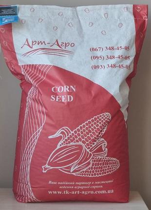Семена кукурузы МАТЕО ФАО 320. Гибрид кукурузы МАТЕО 130ц/га.