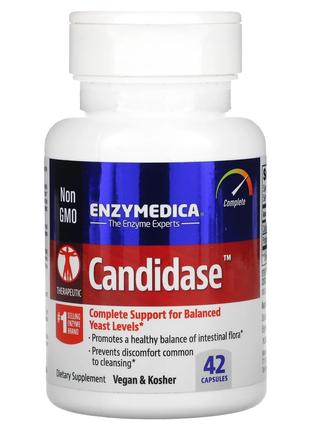 Кандидаза Candidase Enzymedica для баланса кишечной флоры 42 к...