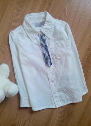 Белоснежная нарядная рубашка с имитацией галстука от blue seve...
