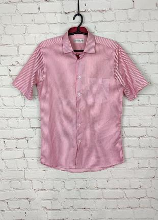 Мужская классическая стильная рубашка в полоску розовая ferrer...
