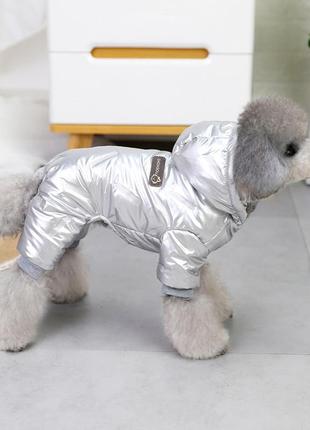Зимний комбинезон серебро собака