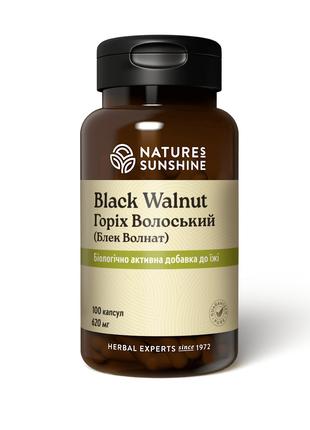 Black Walnut, волоський чорний горіх, Nature's Sunshine Produc...