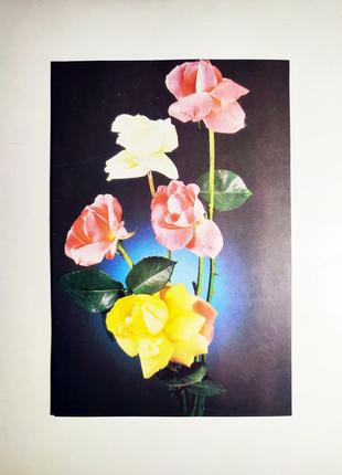 Открытка с цветами А5 Букет роз