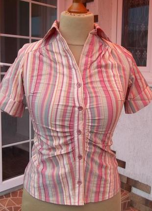 (44р) стрейчевая блузка рубашка кофта свитер туника