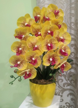 Латексна Орхідея жовта