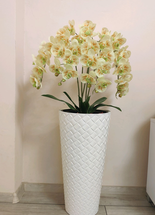 Латексна Орхідея Преміум на 5гілочок