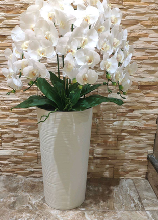 Латексна Орхідея Преміум біла