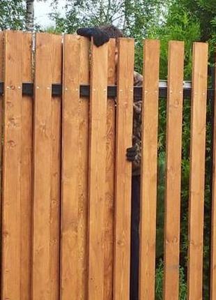 Деревянный забор вертикальный двухсторонний с металлическими л...