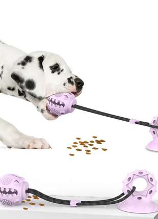 Жевательная игрушка (Фиолетовая) для собак мяч на присоске. Интер