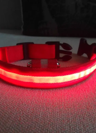 Светящийся ошейник для собак DogClub M (40-45 см) Красный