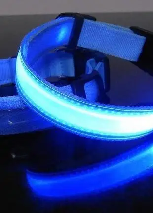 Светящийся ошейник для собак DogClub M (40-45 см) Синий