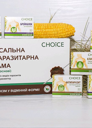 Антипаразитарна програма