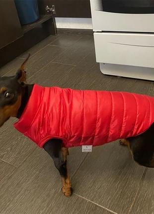 Куртка червона XL, утеплена плащівка для собак, одяг для тварин