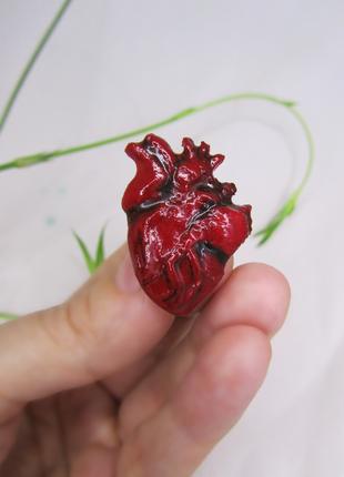 Брошка Анатомічне серце із полімерної глини