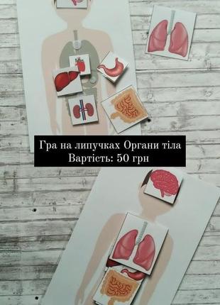 Игра на липучках органы тела