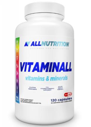 VitaminALL Vitamins and Minerals - 120caps