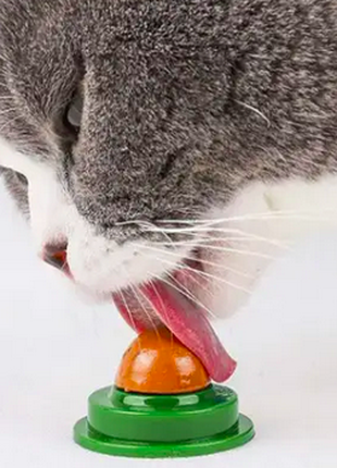 Леденец-конфета для котов и кошек с мятой и рыбьим желатином