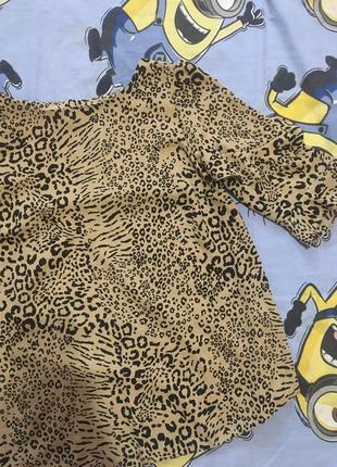 Блуза dorothy perkins блузка леопард