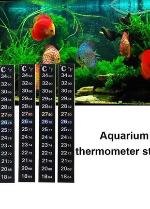 Термометр полоска в аквариум. Термометр липучка.
