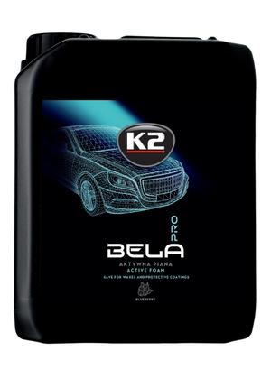 Активная пена для мытья "Черника" Bela Pro Blueberry 5 л (D010...