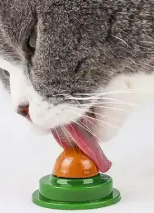 Ласощі для кішок: Кулька з кошачбим цукром на підставці