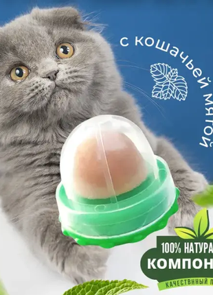 Кошачья конфета. Лакомство для кошек с кошачьей мятой и витаминам
