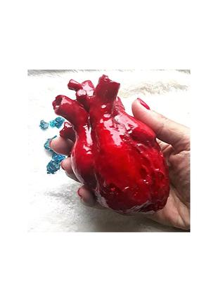 Анатомічне серце у реальну величину