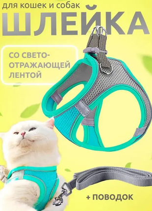 Шлейка анатомическая и поводок 150 см Kafuli Pet Collection