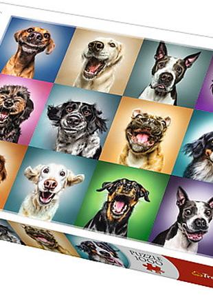Пазлы - (1000 Элм.) "Смешные портреты собак"