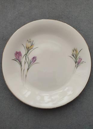 Винтажные фарфоровые тарелки 5шт. "цветы крокуса" Scherberg L.t.d