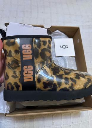 Угги Ugg Classic Clear mini Panther Waterproof принт леопард