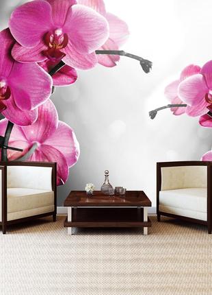 Фото обои 3д цветы 368х254 см Две розовые орхидеи на черно-бел...