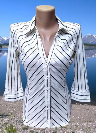 Полосатая стрейчевая блуза debenhams, румыния