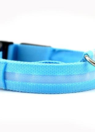 Ошейник с LED подсветкой голубой Pets Collar S