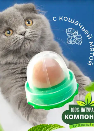Кошачья конфета. Лакомство для кошек с кошачьей мятой и витаминам