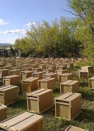 КАРНІКА! Приймаємо заказ на 4р. племенні бджолопакети на 2023р