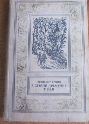 Володимир Брагін. У країні дрімучих трав. БПНФ Рамка 1962