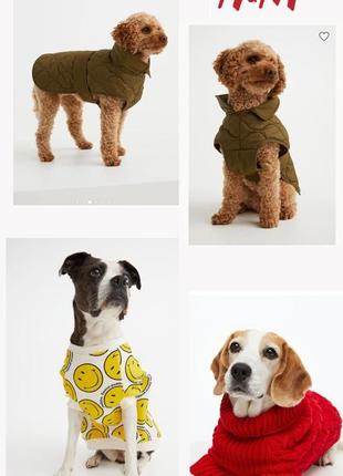 Одежда для собак (свитшот, жилетка, свитер) s 30 см