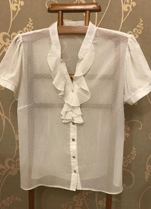 Очень красивая и стильная брендовая блузка с рюшами.