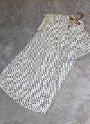 Сукня сорочка на гудзиках в полоску біла синя жіноча
