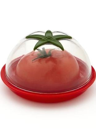 Контейнер для хранения помидора ernesto. германия томат емкость