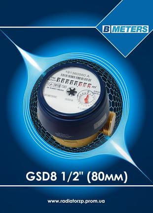 B Meters GSD8 лічильник холодної води 1/2" 80мм