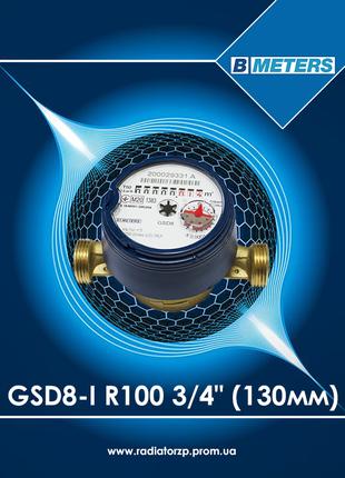 B METERS GSD8-I R100 3/4" лічильник холодної води 130мм
