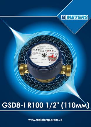 B METERS GSD8-I R100 1/2" лічильник холодної води 110мм