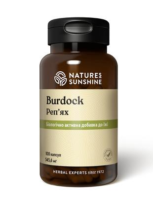 Витамины для ЖКТ, Burdock, Репейник, Nature’s Sunshine Product...
