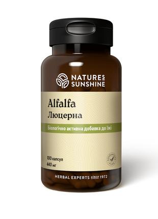 Alfalfa, Альфа Альфа, Люцерна, Nature’s Sunshine Products, США...