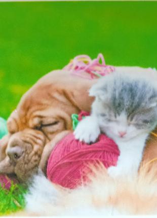 Алмазная вышивка "Милый щенок и котенок" любовь дружба полная ...