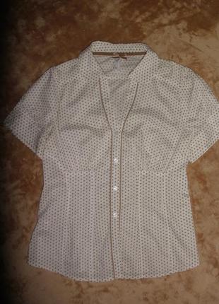 Блузка в горошек с короткими рукавами от next деловой стиль